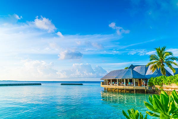 holiday